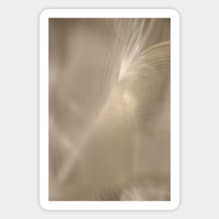 Lumina White Spirit - ethereal beige, khaki and ivory abstract concept art photograph Magnet